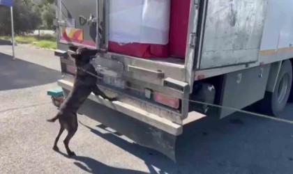 Ev eşyası arasında uyuşturucu sevkiyatı