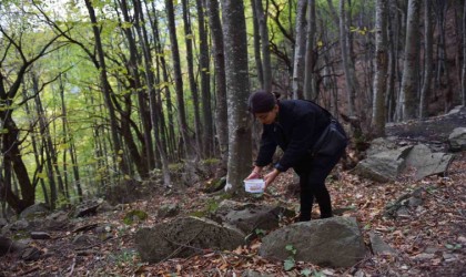 Gençler doğa için yürüdü