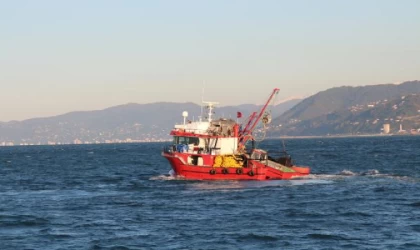 Hamside ’aşırı avcılık’ ile yok olma tehlikesi