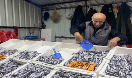 Hamsinin ucuz olması vatandaşın ilgisini arttırdı