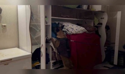 Hatayda uyuşturucu operasyonu: 2 kişi tutuklandı