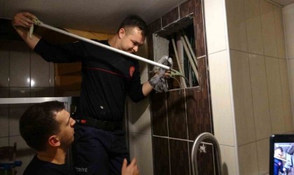 Havalandırmada mahsur kalan güvercin itfaiye ekipleri tarafından kurtarıldı