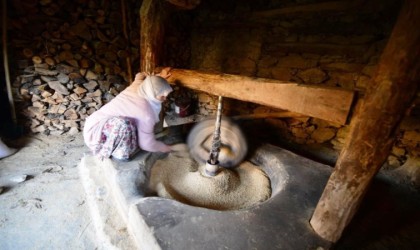 Hizanda üretilen çeltik asırlık su değirmeninde öğütülüyor