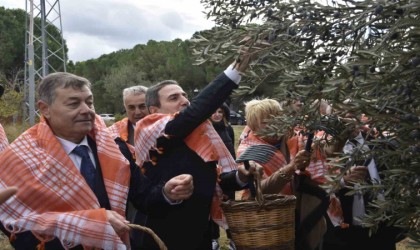 İzmirde zeytin ve zeytinyağı sezonu açıldı