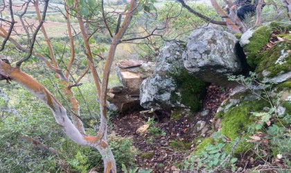 Kaçak kazı yaparken suçüstü yakalandılar