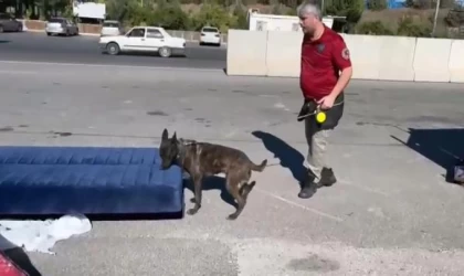 Kamyondaki çekyata gizlenmiş 13 kilo uyuşturucuyu ’Barbara’ buldu