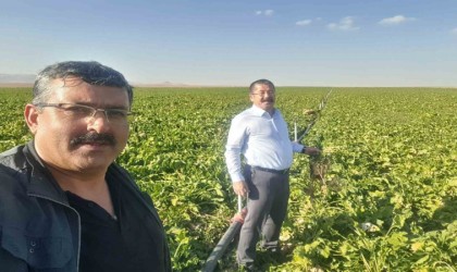 Karapınarda mısır ve şekerpancarı mesaisi