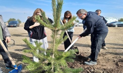 Karsta fidanlar toprakla buluşturuldu
