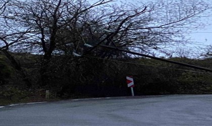 Kavakta fırtına direkleri yıktı