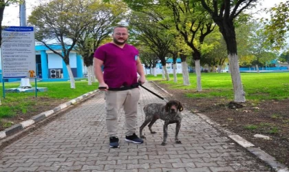 Kazada kırılan bacağına platin takılan av köpeği sahiplendirilmeyi bekliyor