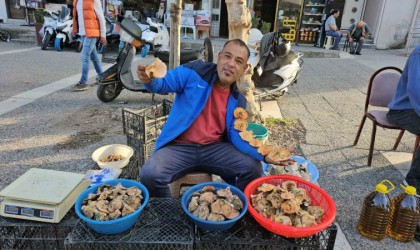 Kırmızı melki sezonu başladı: Kilosu 200 lira