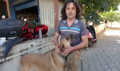 Köpeği de insanlığı da uyutmadı, yanından ayırmayıp gözü gibi bakıyor