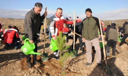 Kütahyada maden sahasına 6 bin fidan dikildi