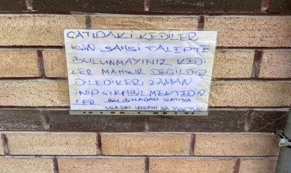 Mahsur kaldığı sanılan kedileri kurtarmak isteyenlere bilgilendirme yazısı astı