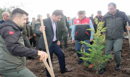 Manyas ilçesinde fidanlar toprakla buluştu