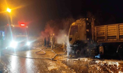 Mardinde park halindeki tır alev aldı