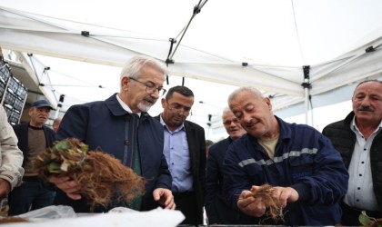 Nilüfer Belediyesinin desteğiyle çilek üretimi artıyor