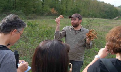 Ormanyada mantar avı düzenlendi