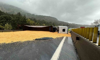 Otoyolda tır yan yattı, yol tahıl ile kaplandı