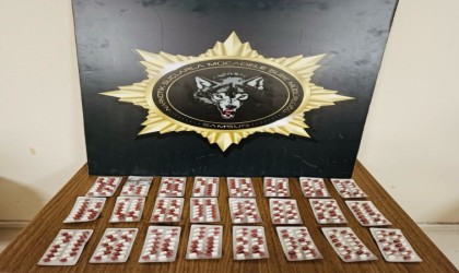 Samsunda narkotik uygulaması: 31 kişi yakalandı