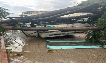Şiddetli rüzgarda üzerine ağaç devrilen midibüs hurdaya döndü