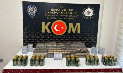 Şırnakta asayiş ve kaçakçılık operasyonu: 86 gözaltı