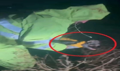 Sulama kanalına düşen köpek ile 4 yavrusu kurtarıldı