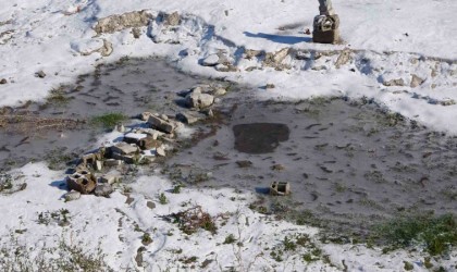 Tatvanda kar yağışı