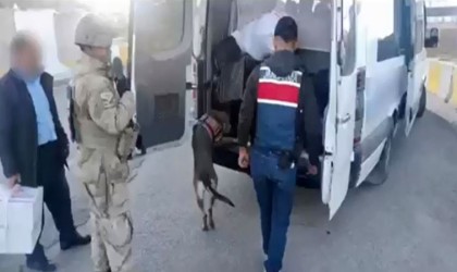 Vanda 9 kişi tutuklandı