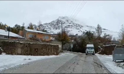 Van’da kar yağışı etkili oldu/ Ek Fotoğraflar