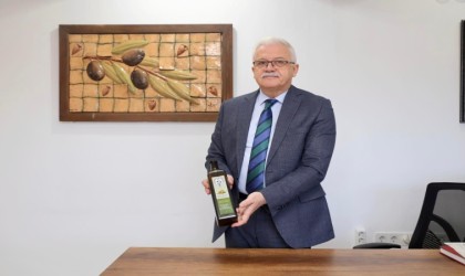 Zeytinin başkenti Burhaniyede hasat zamanı