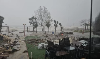 Zonguldak’ta sağanak ve fırtına; ağaçlar devrildi, gemi karaya oturdu (5)