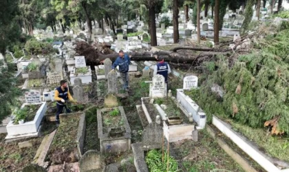 Zonguldak’taki fırtınada devrilen ağaçlar nedeniyle 300 mezar hasar gördü