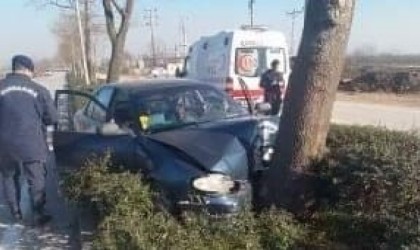 Ağaca çarptı; hastanelik oldu