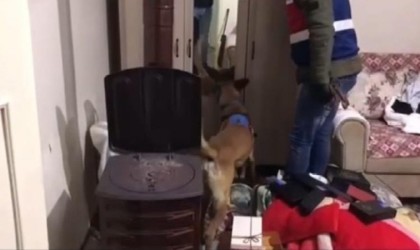 Balıkesirde jandarmadan 3 şahsa uyuşturucu operasyonu