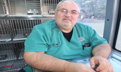 Balıkesirde VETBÜS 6 bin can dostuna şifa dağıttı