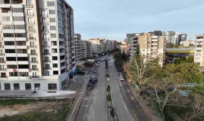 Bursada manolya ağaçları caddeleri süsledi