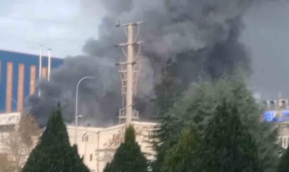 Bursada plastik toplama fabrikasında yangın