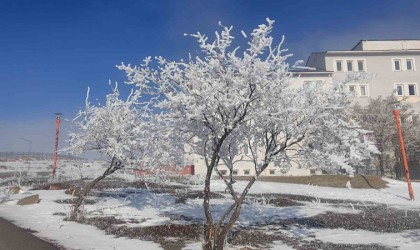 Çaldıran buz kesti