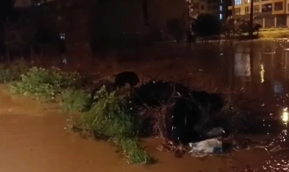 Çanakkale’de sağanak nedeniyle dere taştı (5)