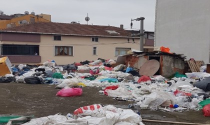 Çöp ev operasyonu: 3 kamyon çöp çıkarıldı