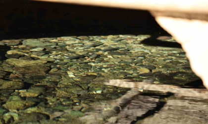 Diyarbakırda Balıklıgölü andıran görüntü