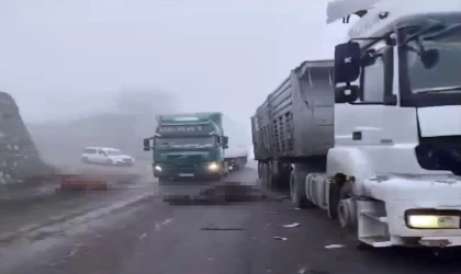 Diyarbakır’da TIR’ın çarptığı sürüdeki 7 inek öldü