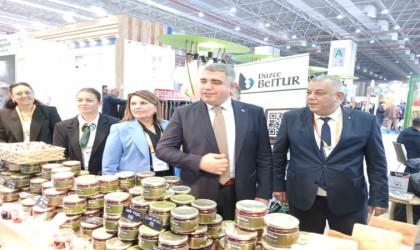 Düzceyi il il tanıtıyorlar