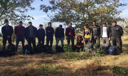 Edirne’de 1209 kaçak göçmen, 35 organizatör şüphelisi yakalandı