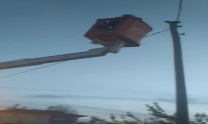 Elektrik direğinde mahsur kalan kedi kurtarıldı