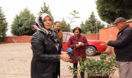 Elmalıda bin 300 aronya fidanı dağıtıldı