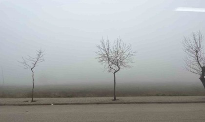 Eskişehirin yüksek kesimlerinde sis ve pusu hakim oldu