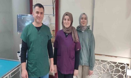 Hamile koyun dakikalarca yavrusunun kalp atışını dinledi: O anlar kamerada