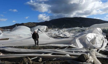 Hatayda hortum seraları vurdu